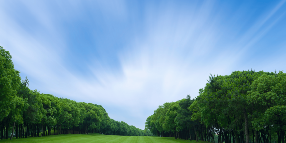 Where Greens Speak: The Unwritten Rules of the Clubhouse