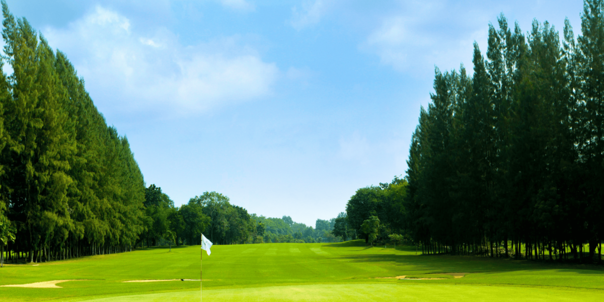 Beyond the Fairway: Stories Hidden Between the Pines